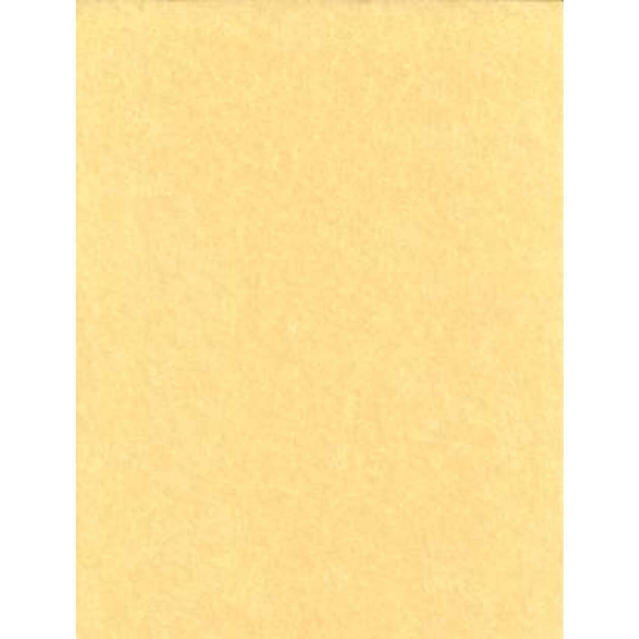 Light Parchment Paper 25 Pack (8 1/2 x 11) - The Ancient Sage
